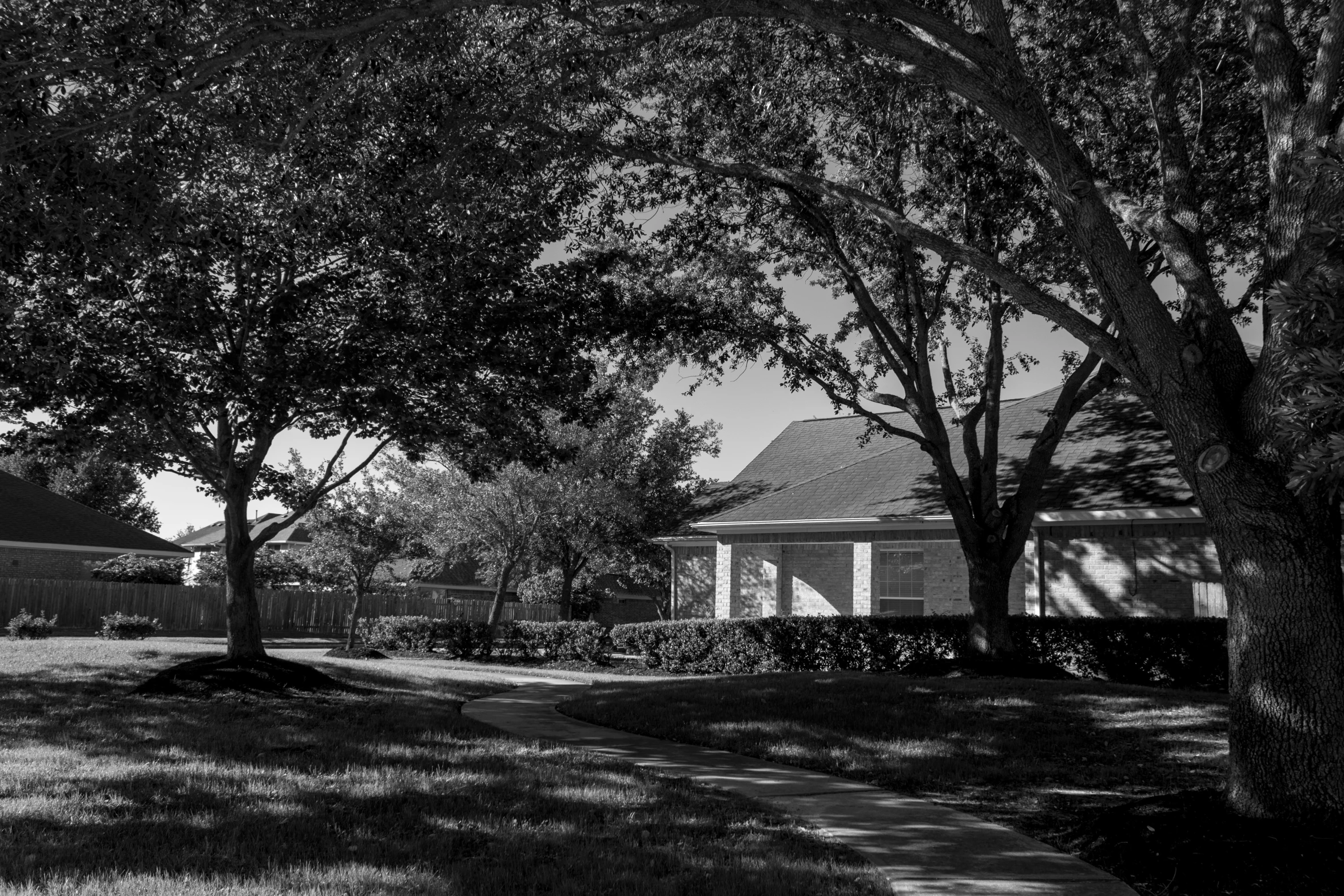 a house next to a tree in a back yard