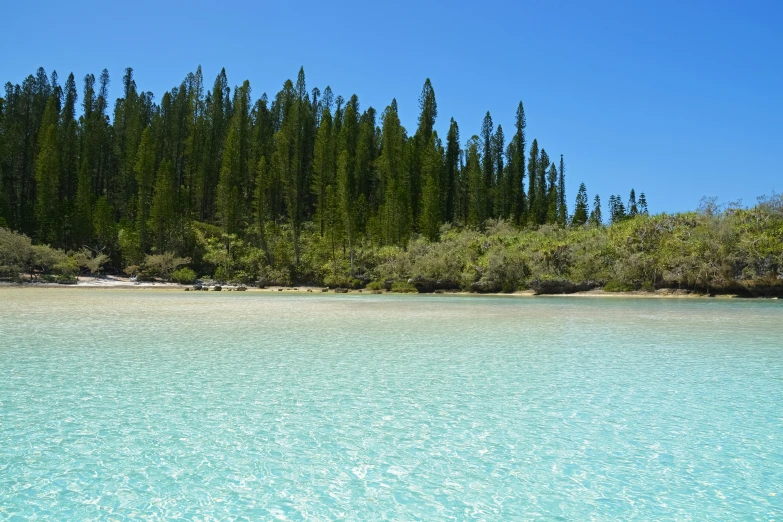 a lake that has some water in it