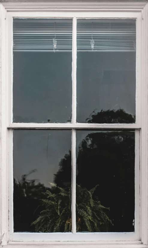 the window of a building shows the reflection of trees