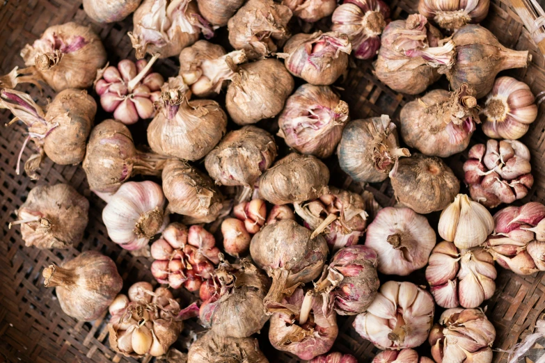 baskets filled with different types of garlic on display