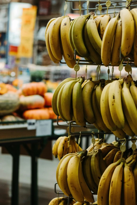 a store display case with hanging bananas in the shape of numbers