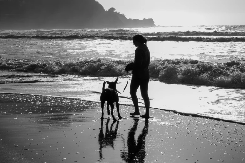 a woman walking her dog on a beach near the ocean