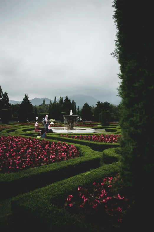 a large garden with flowers all around