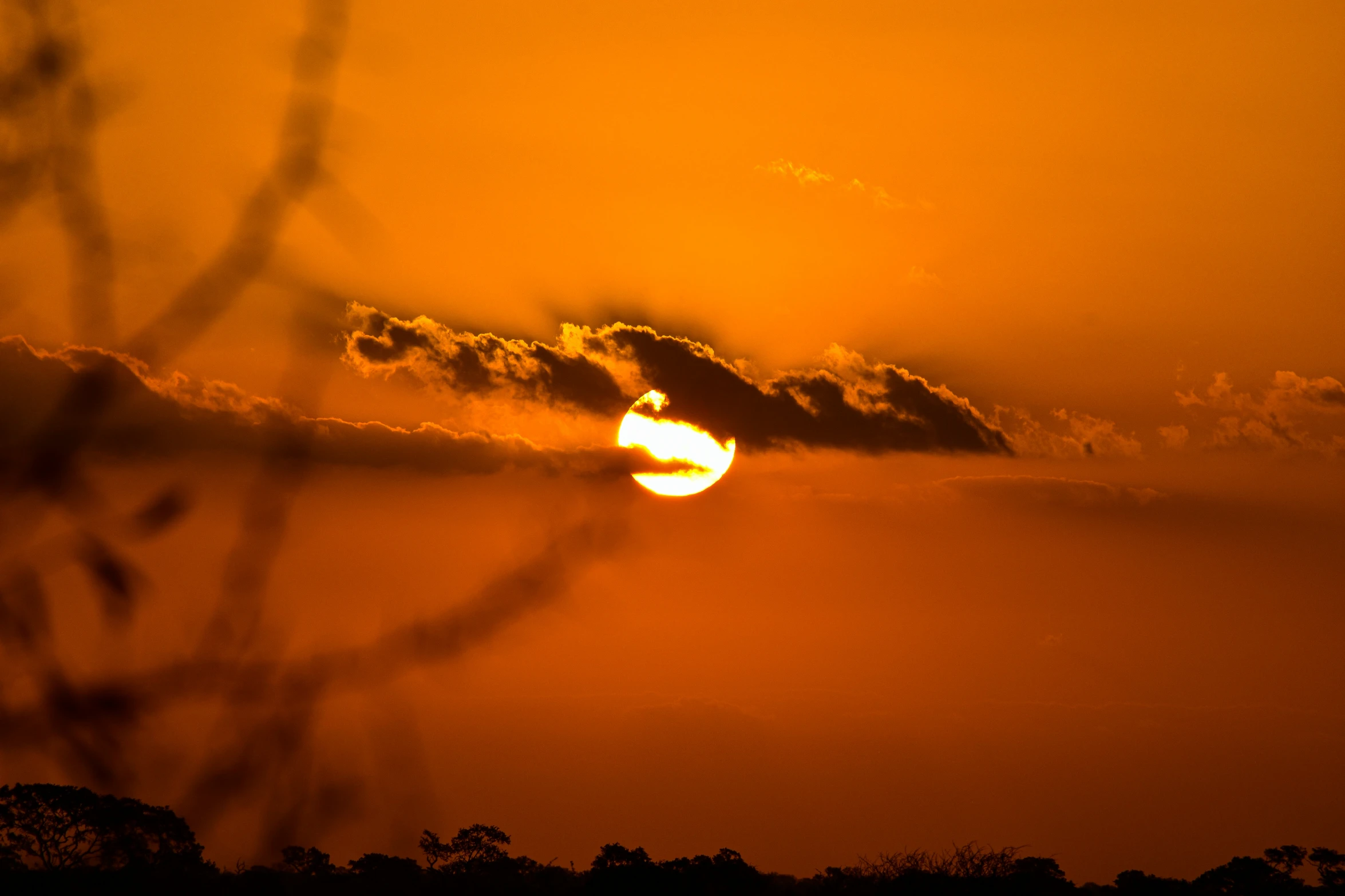 the sun is setting in the distance behind some trees