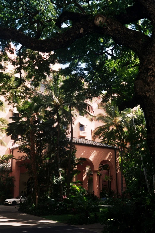 a building is shown with large trees surrounding it