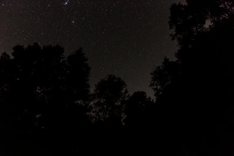 a night view looking at the stars in the sky