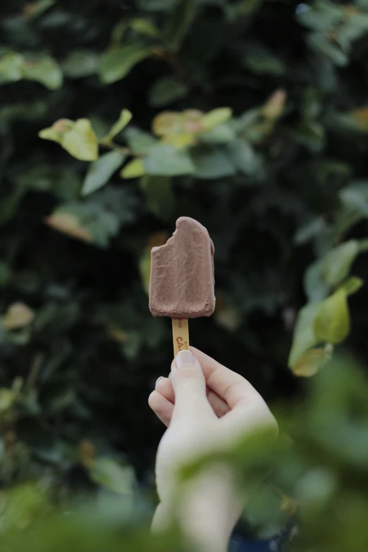 a popsicle held up in front of a tree