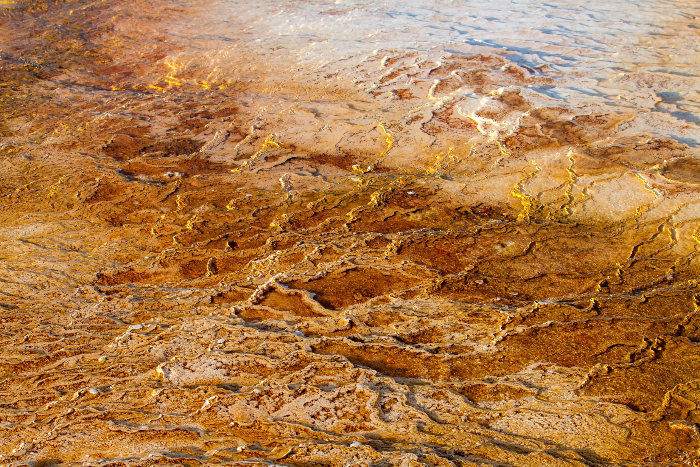 the rocks that cover this area are brown and have yellow streaks