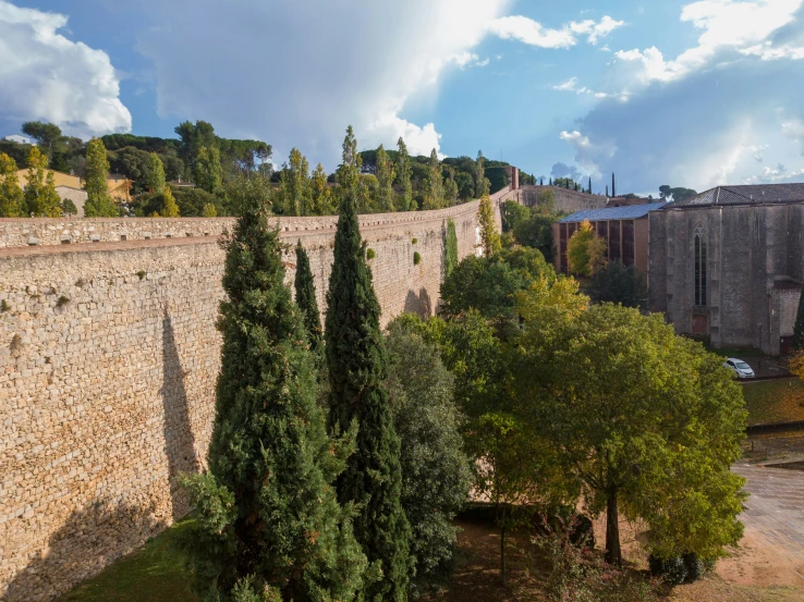 trees line the sides of an old wall