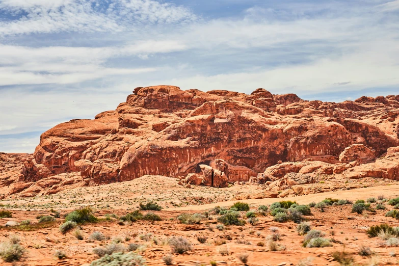 the desert has been rocky and some grass