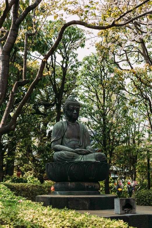 a po of the buddha statue in a park