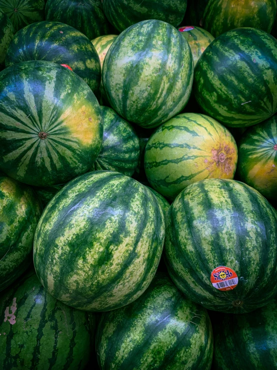 many different types of watermelons piled together