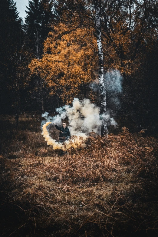 a small pile of burning logs in the woods