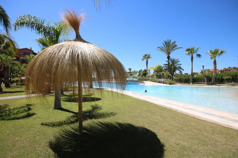 an open air swimming pool with palm trees next to it