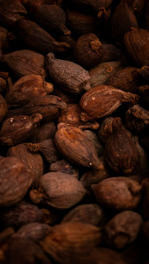 a pile of nuts sitting on top of a wooden table