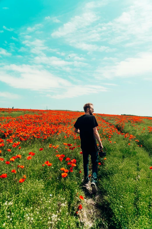 a man walking through a large field of red flowers