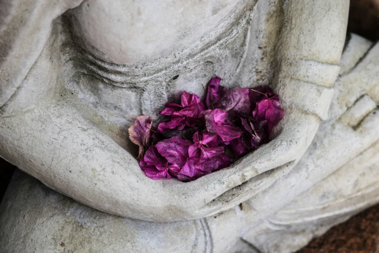 a hand holding a purple flower resting on a statue