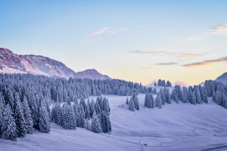 a large snowy hill with trees and sky