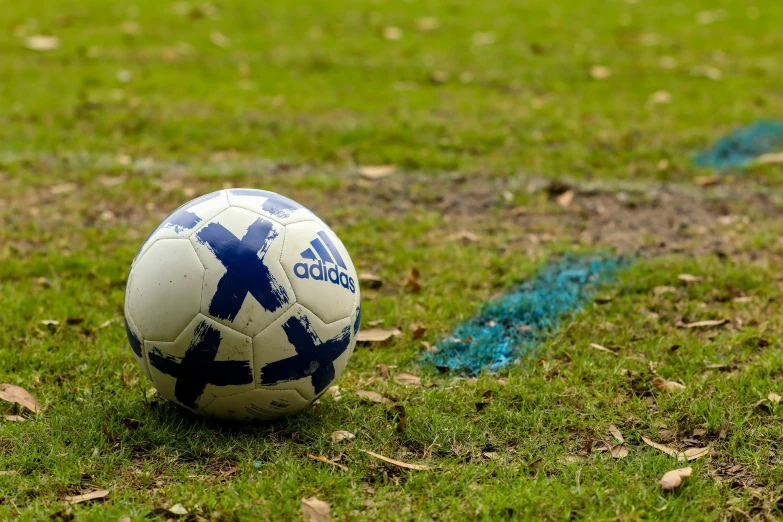 a soccer ball sits in the middle of the ground
