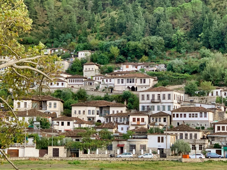 village in mountainous area with green forest and mountains