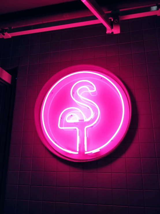 the neon sign on the wall says flamingos