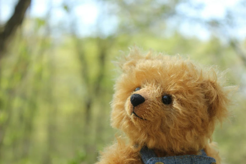 an up close picture of a brown teddy bear