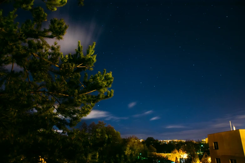 night time view of trees and city lights