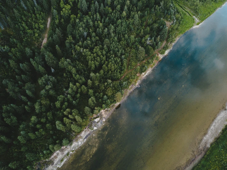 an overhead s of a body of water next to a forest