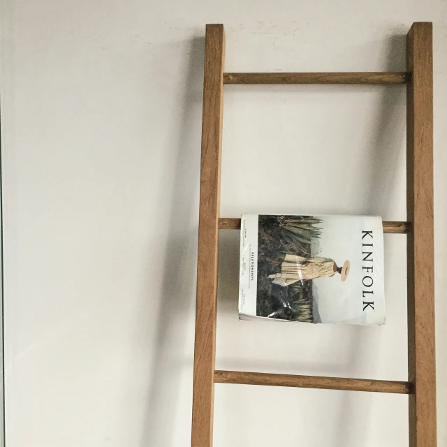 a ladder is hanging on a wall by the book