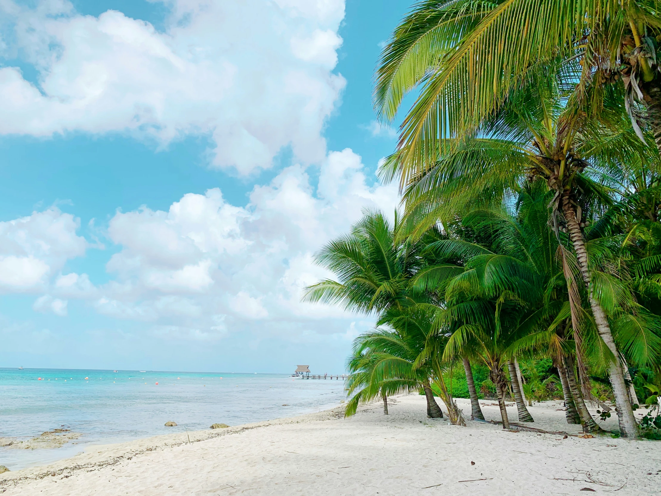 the beach at a tropical resort, with a boat in the water