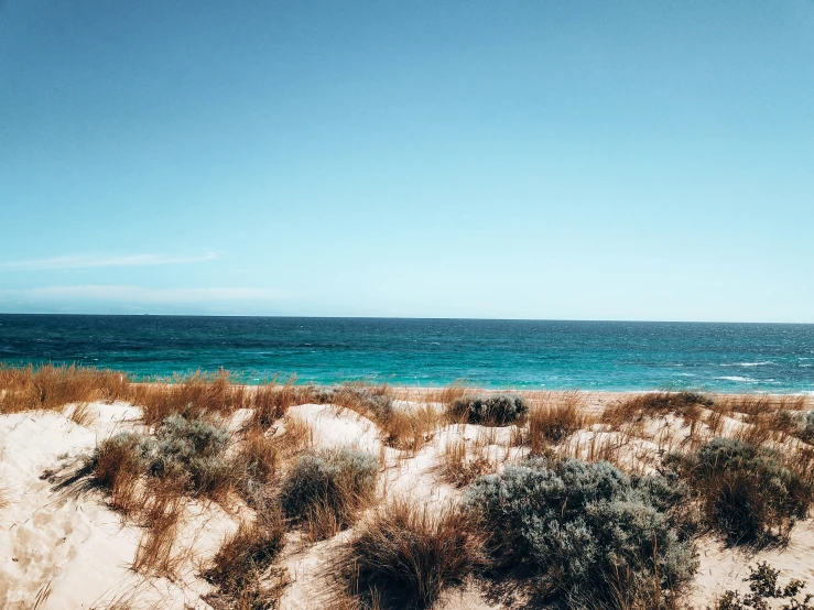 there is a bench on the sand near the ocean