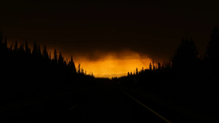 a dark night with trees, dark sky and yellow glow