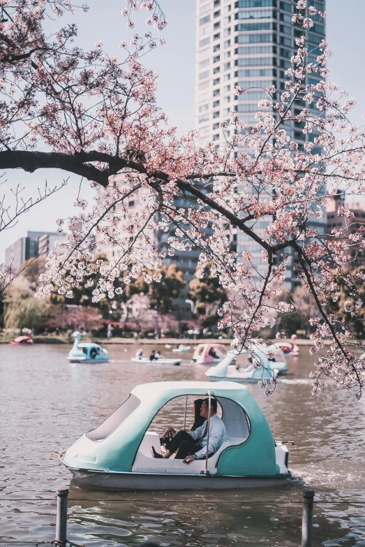 a boat is floating on a lake with cherry blossoms in the background