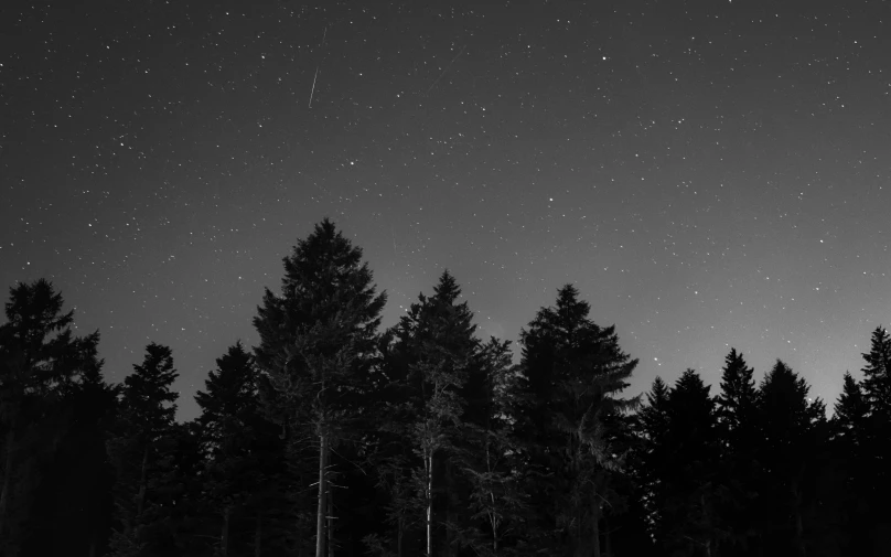 a po of a night sky with stars above trees