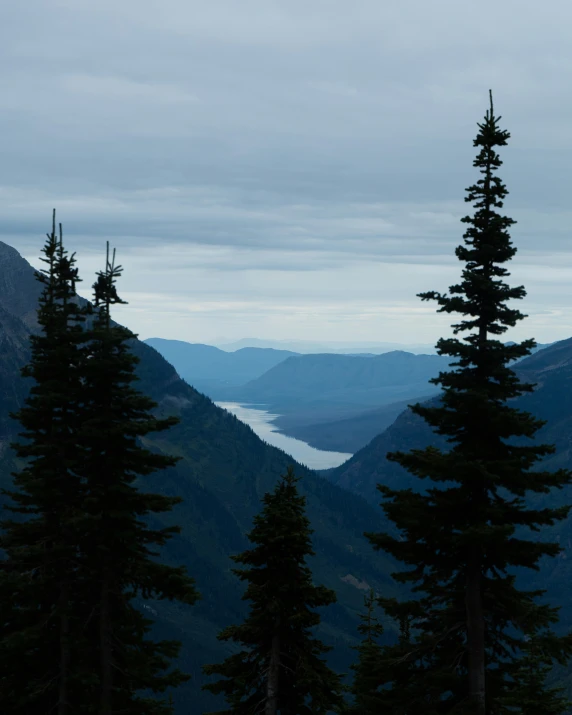 trees overlooking the valley and lake on an overcast day