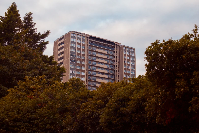 two tall building surrounded by lush green trees