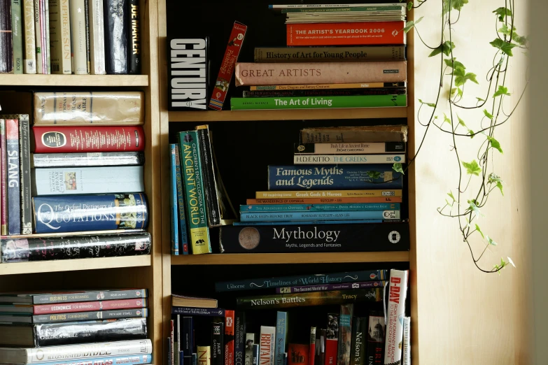 books and magazines sit on a wooden bookshelf