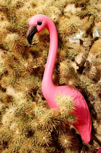 a pink toy flamingo is sitting in the desert