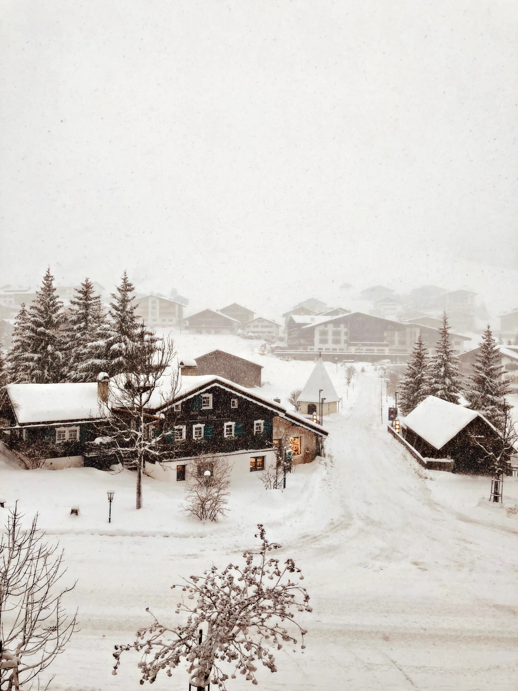 a snowy village that has snow covering trees