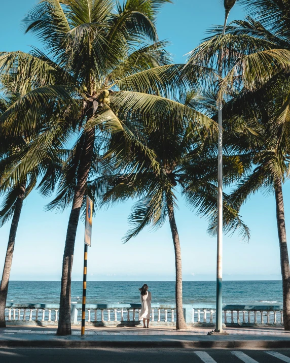 a person standing near a beach near trees