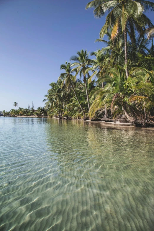 a small island covered in palm trees and water