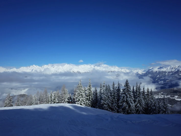 a view from top of a snowy hill looking over mountains with snow capped trees