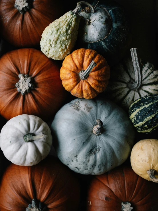 a bunch of pumpkins are arranged on the table