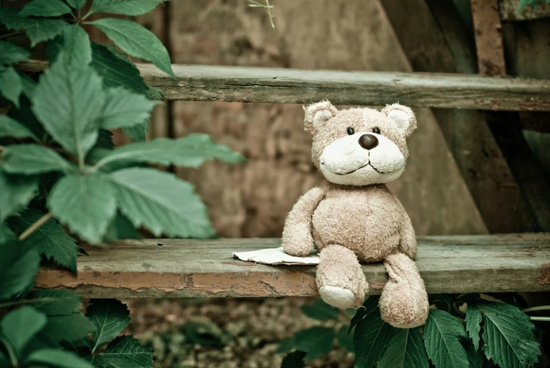 a small teddy bear is sitting on a bench