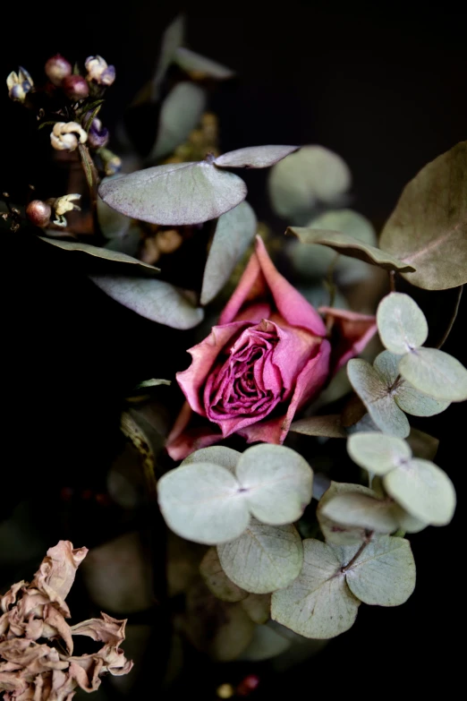 a close up view of the inside of flowers