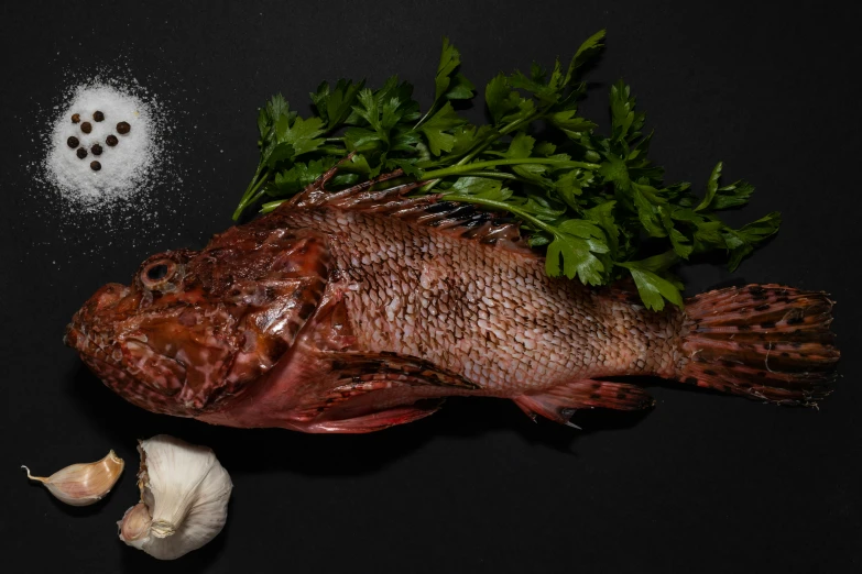 an image of fresh fish and vegetables on display