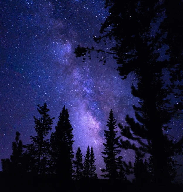 the night sky filled with stars and trees