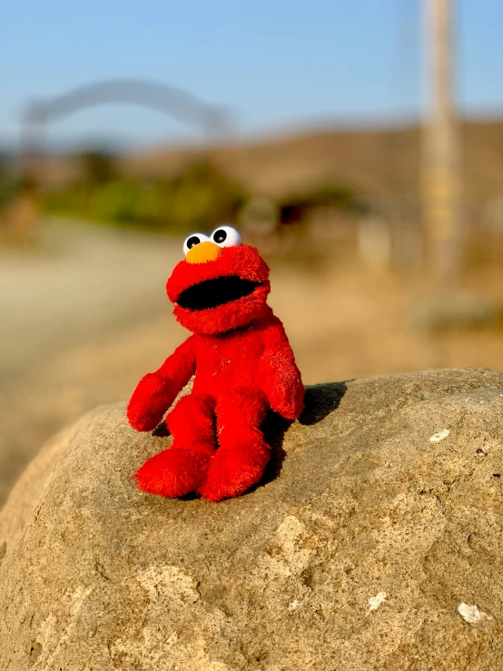 a red stuffed animal toy on top of a rock