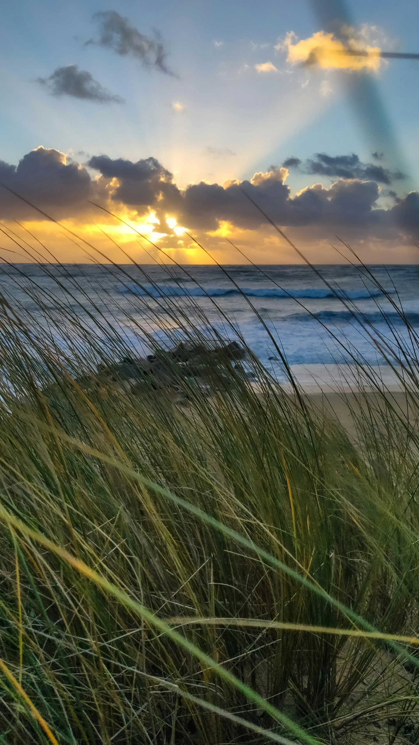 a view of a beach, with the sun in the background