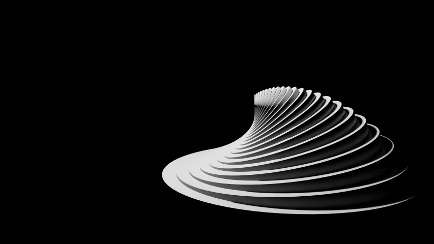 an abstract black and white po of a curved object